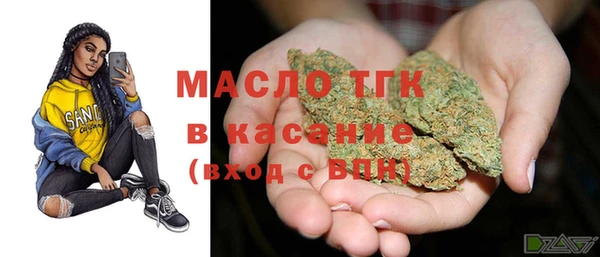дмт Осташков
