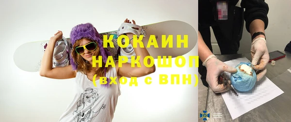 дмт Осташков