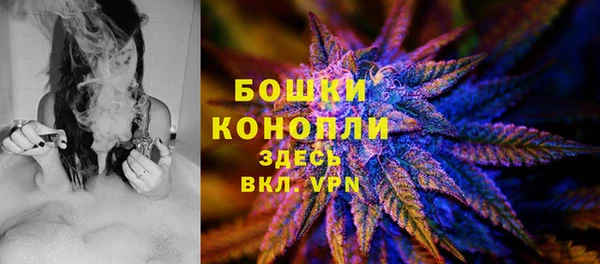 Альфа ПВП Пересвет