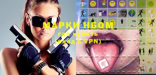 Альфа ПВП Пересвет