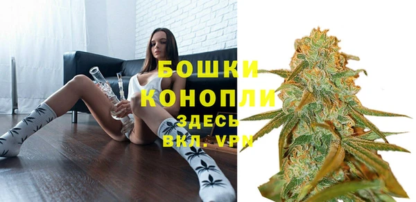 Альфа ПВП Пересвет