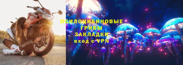 крисы Пестово