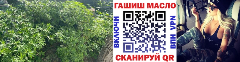 закладка  Богородск  OMG   ТГК вейп с тгк 