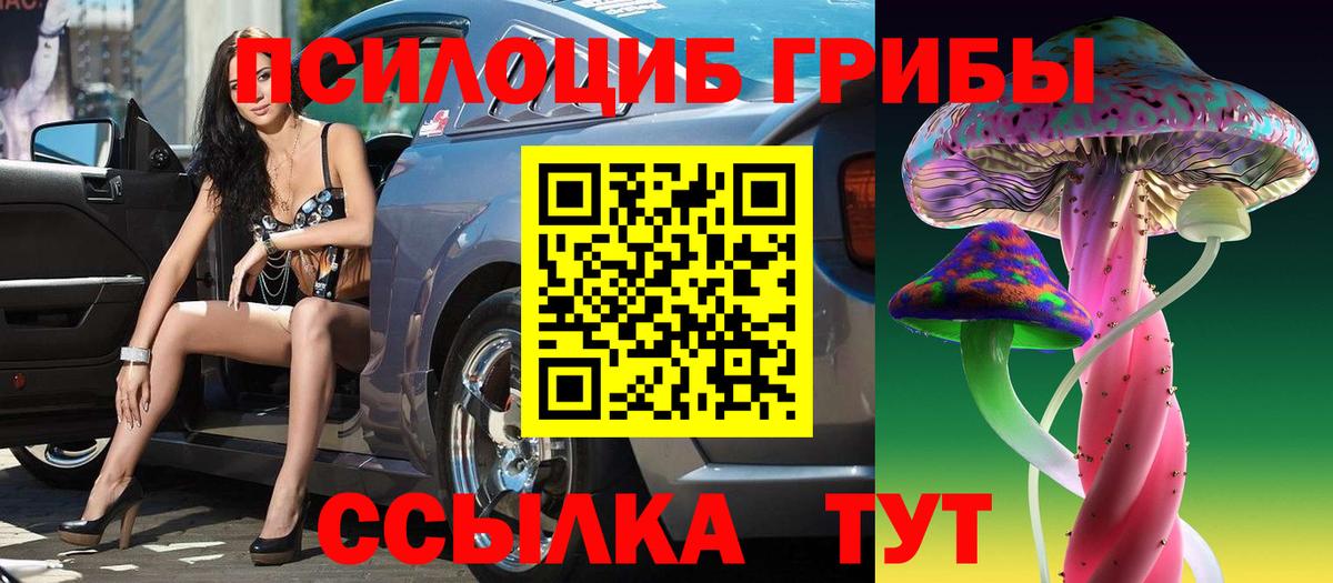 дарнет шоп  Вход с VPN  Богородск  Галлюциногенные грибы мицелий 