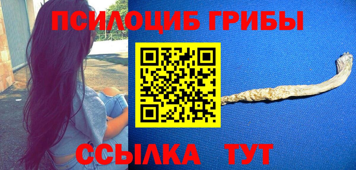 Псилоцибиновые грибы Psilocybine cubensis Богородск